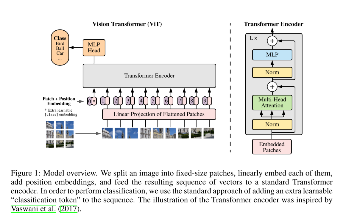 AN IMAGE IS WORTH 16X16 WORDS:
TRANSFORMERS FOR IMAGE RECOGNITION AT SCALE