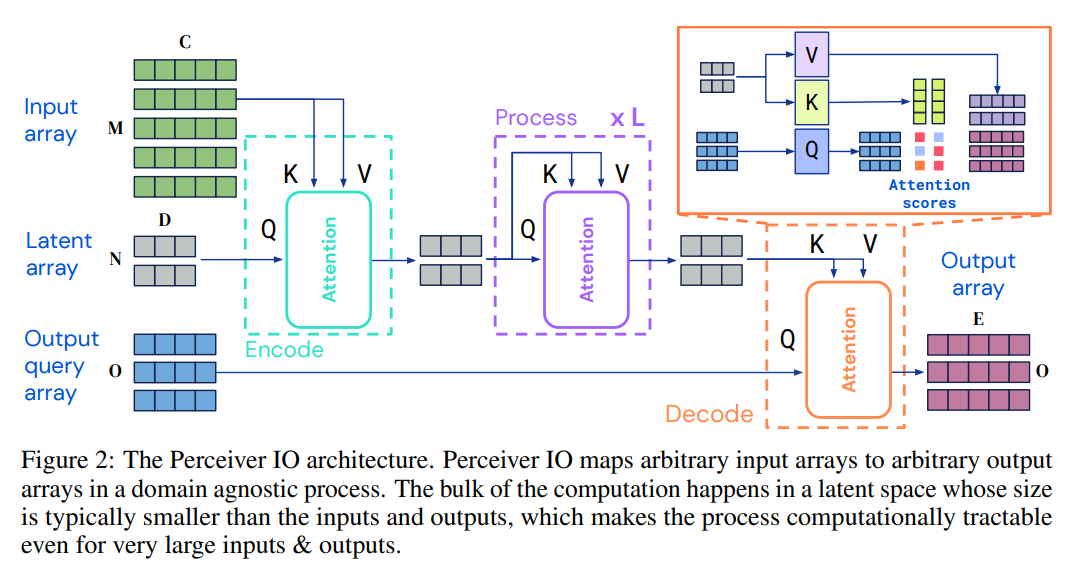 Perceiver IO: A General Architecture for Structured Inputs & Outputs
